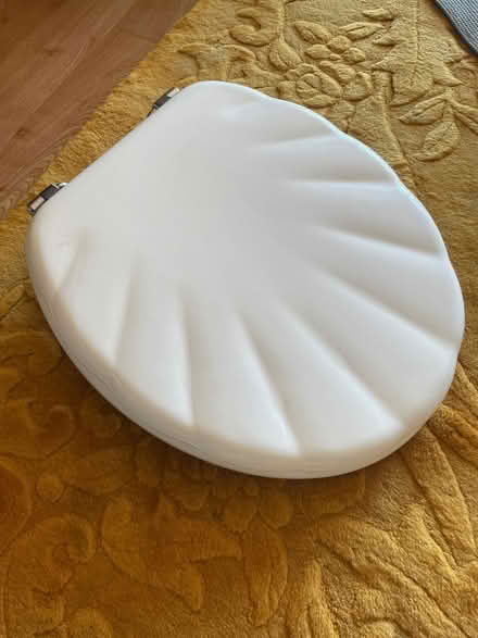 Photo of free Scallop toilet seat (Horningsea CB25) #1