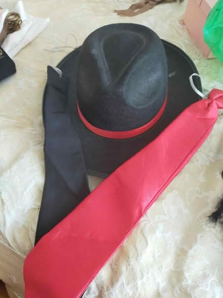 Photo of free Fancy dress (Wickford SS12) #4