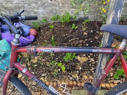 Photo of free Men’s Mountain Bike (PL3) #3