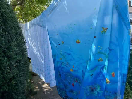 Photo of free Shower curtains (OX4 3) #2