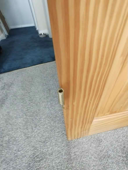 Photo of free Internal pine door (BR3 Elmers End) #3