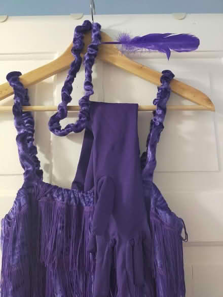 Photo of free Flappers dress fancy dress (Wickford SS12) #2