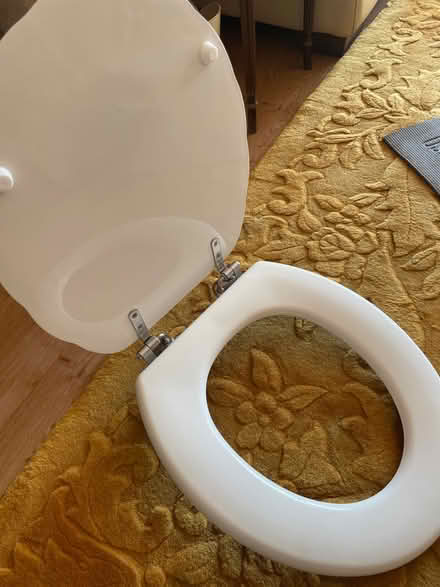 Photo of free Scallop toilet seat (Horningsea CB25) #2