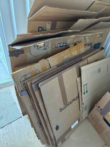 Photo of free Cardboard packing boxes (Chichester) #1