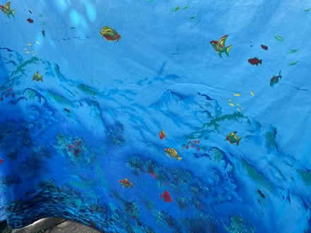 Photo of free Shower curtains (OX4 3) #1
