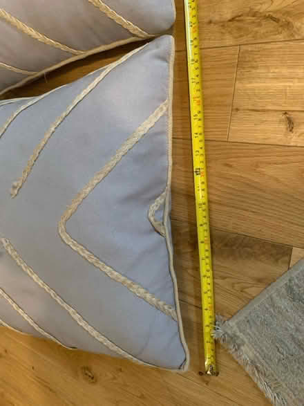 Photo of free 2 x feather cushions (Blackheath SE3 7DH) #2