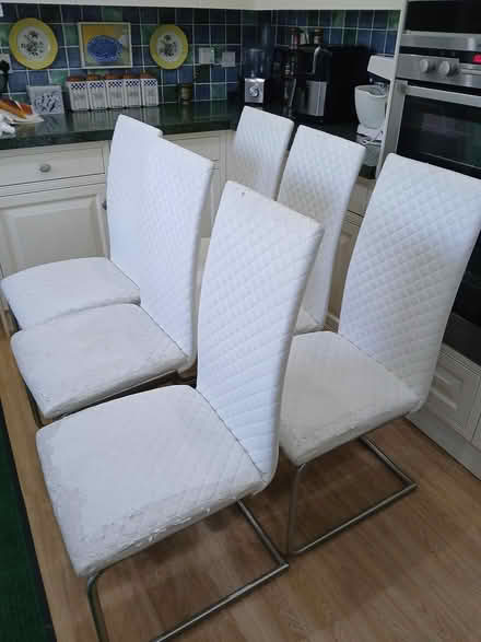 Photo of free 6 Dining Chairs (Sevenoaks TN13) #1