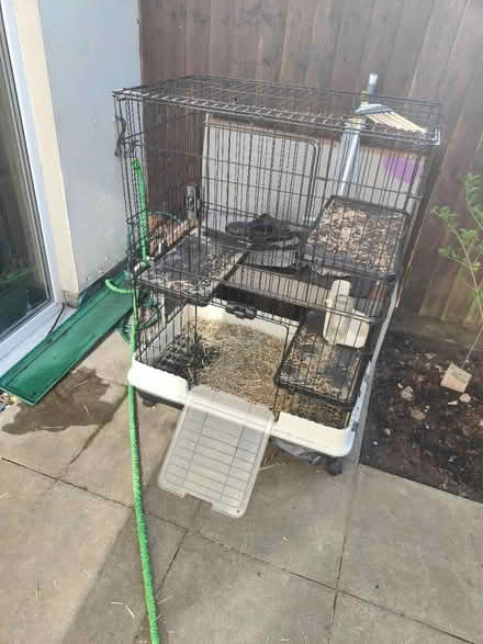 Photo of free Small animal cage (Hampton hargate PE7) #1