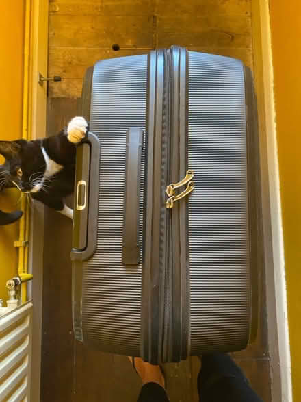 Photo of free Large suitcase - one sticky wheel (Queens Park W10) #2