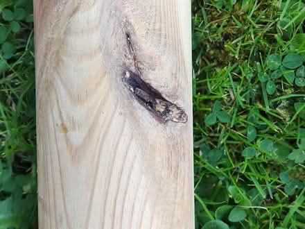 Photo of free 3 x wood handrail offcuts (AL4) #1