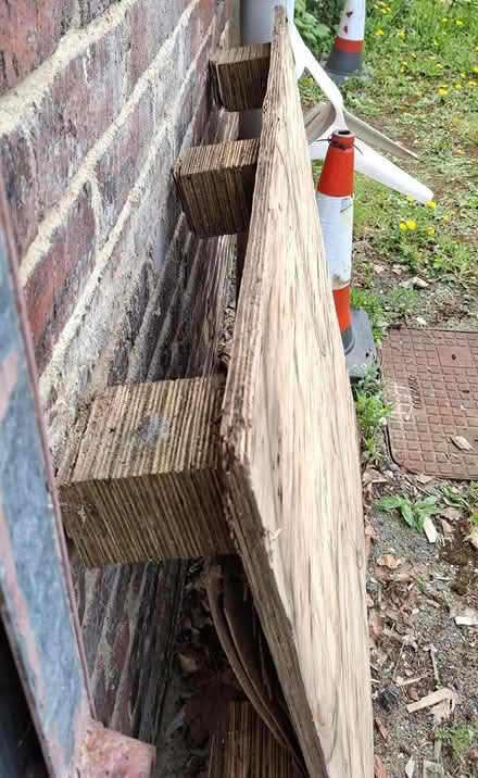 Photo of free Pallet solid top (Millhouses, S7) #3