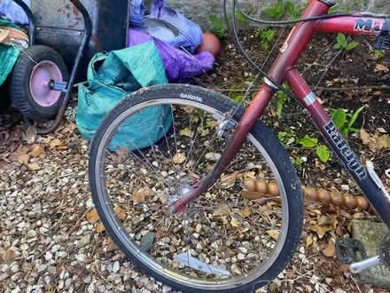 Photo of free Men’s Mountain Bike (PL3) #4