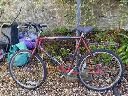Photo of free Men’s Mountain Bike (PL3) #1