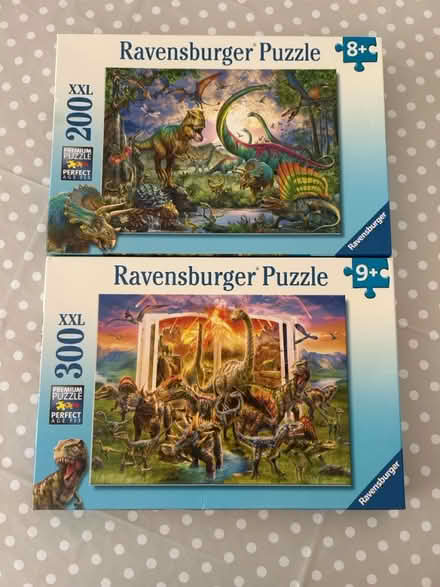 Photo of free Dinosaur puzzles (CT2 8LL) #1