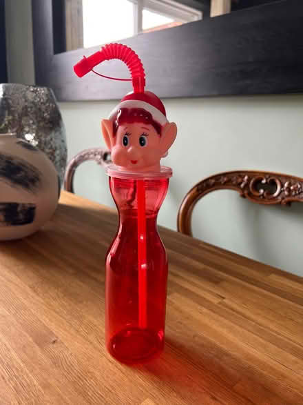 Photo of free Elf on a shelf (Willingdon BN22) #1