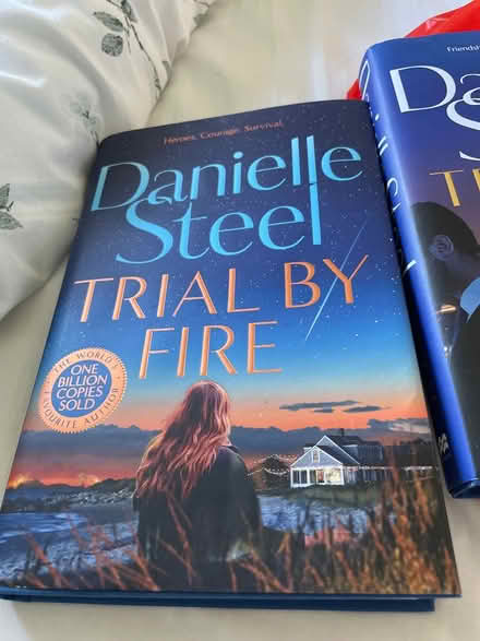 Photo of free Danielle Steel (CM3) #1