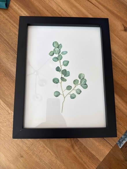 Photo of free Framed Eucalyptus Painting (Woodside Plaza) #1
