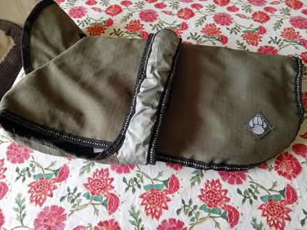 Photo of free Dog coat (Buriton GU31) #1