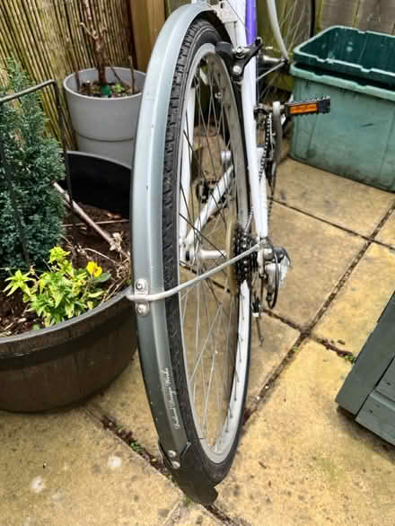 Photo of free Ladies bike (Raynes Park) #3