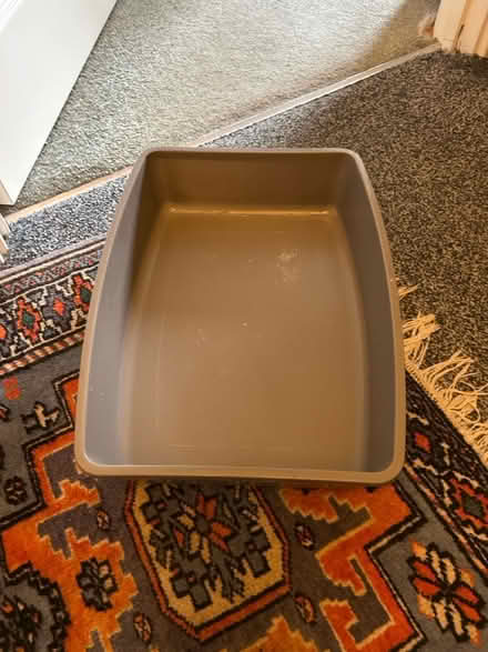 Photo of free Small cat/kitten litter tray (Jennetts park RG12) #1