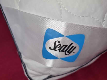 Photo of free 2 sealy side sleeper pillows (Longley S5) #3