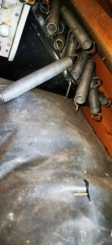 Photo of free 14 ft trampoline (Coulsdon CR5) #3