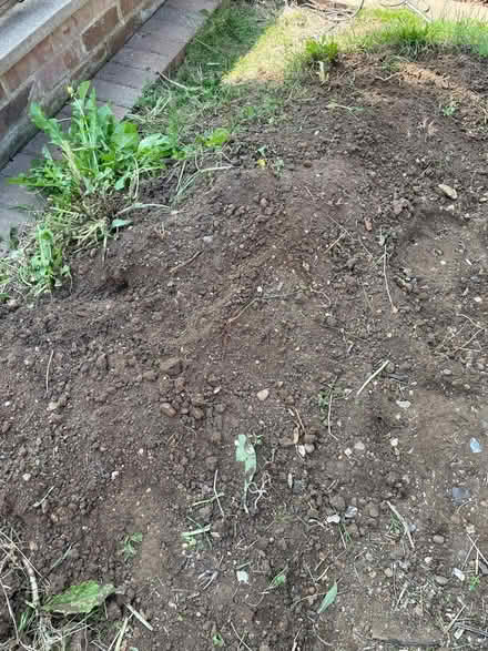 Photo of free Top Soil (Northcourt OX14) #1