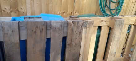Photo of free Pallets (Costhorpe S81) #3