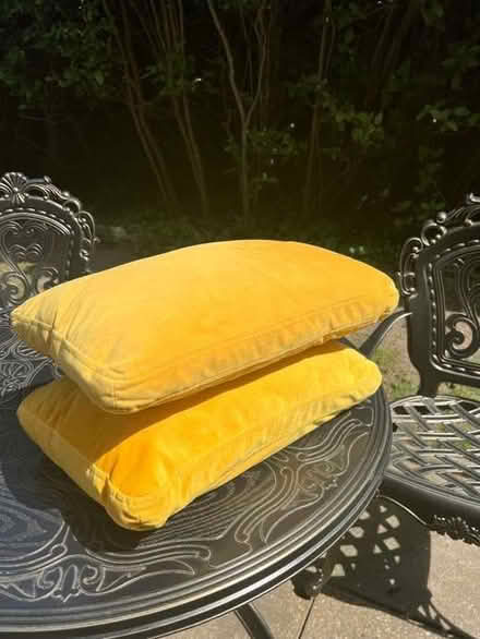 Photo of free 2 Yellow velvet cushions (Surbiton KT6) #3