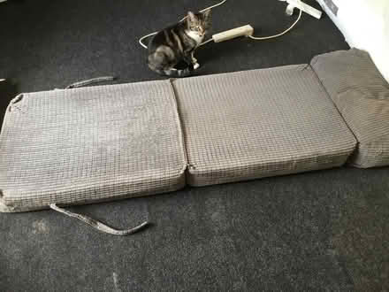 Photo of free Single Bed (Leicester LE3) #2