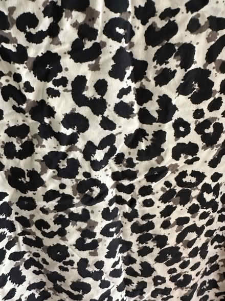 Photo of free H&M Girls Animal Print Top (Hemel Hempstead, HP2 area) #3