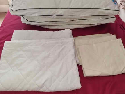 Photo of free 2 sealy side sleeper pillows (Longley S5) #2