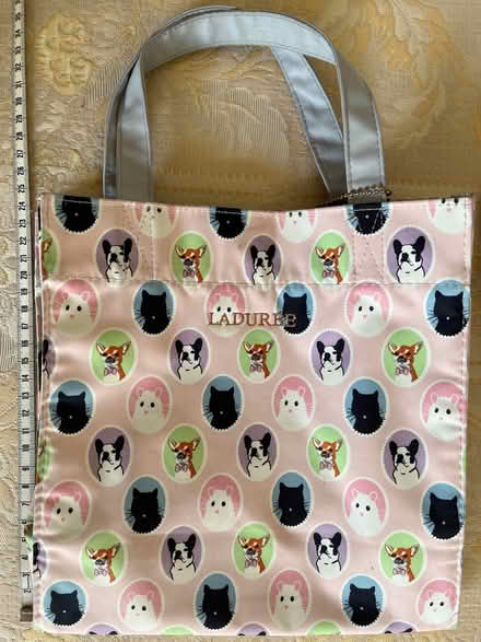 Photo of free Cute Small bag (Horsley Woodhouse CP DE7) #2