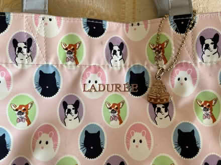 Photo of free Cute Small bag (Horsley Woodhouse CP DE7) #3