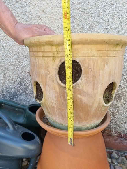 Photo of free strawberry planter (Longley S5) #3