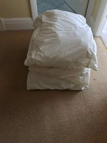 Photo of free 3 large square pillows (Bromley BR2) #2