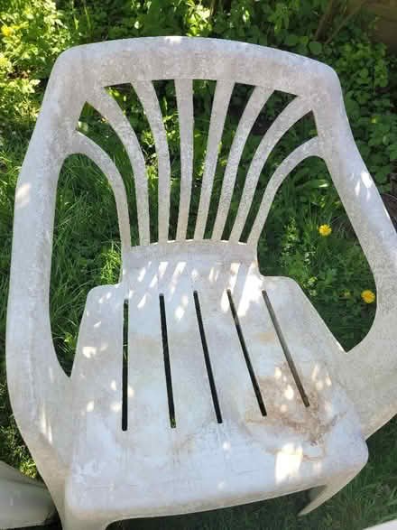 Photo of free Plastic garden chairs x 4 (Shenley Fields B29) #2