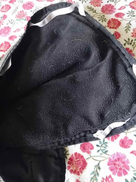 Photo of free Dog coat (Buriton GU31) #3