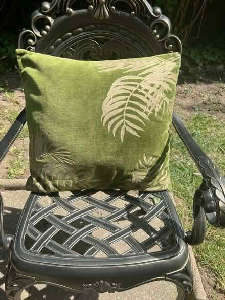 Photo of free 2 Green velvet cushions (Surbiton KT6) #1