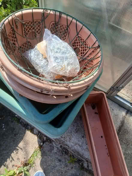 Photo of free 7 Garden planters, 5 troughs & 5 hanging baskets (Roseworth TS19) #2