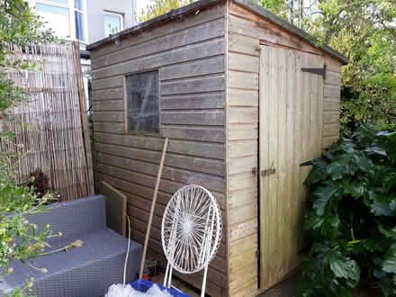 Photo of free Shed (Hanover BN2) #1
