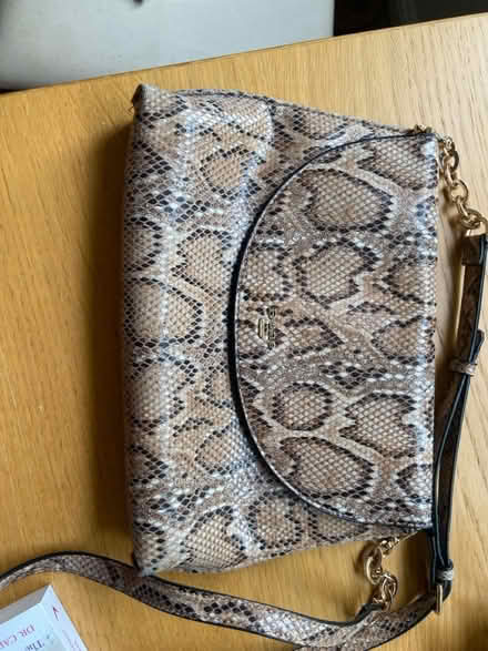 Photo of free Dune Handbag (Isleworth, TW7) #1
