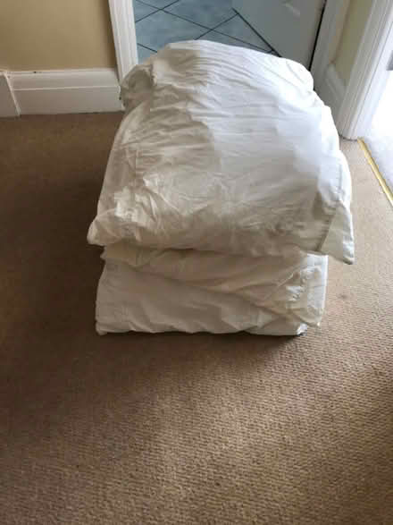 Photo of free 3 large square pillows (Bromley BR2) #1