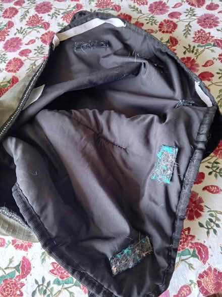 Photo of free Dog coat (Buriton GU31) #4
