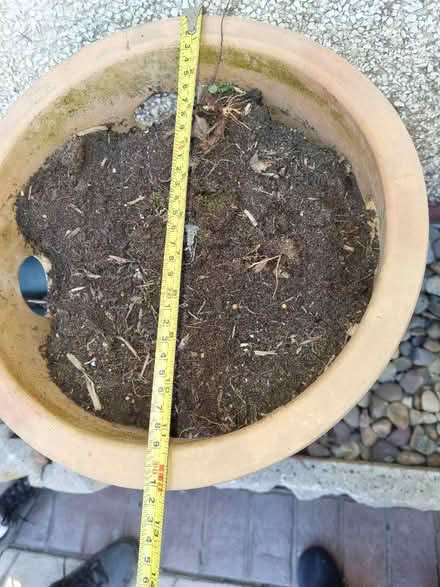Photo of free strawberry planter (Longley S5) #2