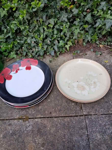 Photo of free 6 old plates - good as outdoor pot saucers (Kimberley NG16) #1