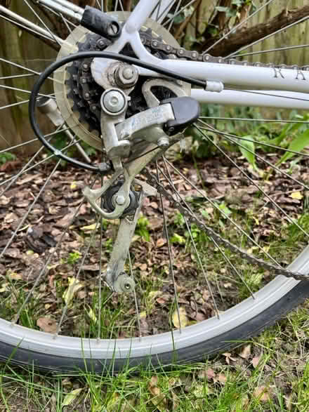 Photo of free Ladies bike (Raynes Park) #4