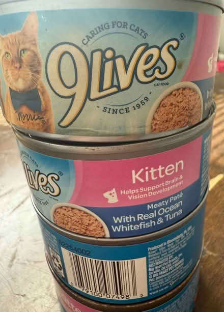 Photo of free Cat food (Lowell) #1