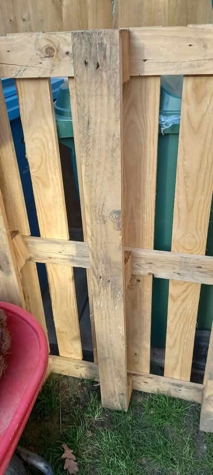 Photo of free Pallets (Costhorpe S81) #1