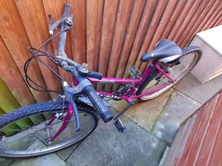 Photo of free Bike (Hereford, Belmont) #2